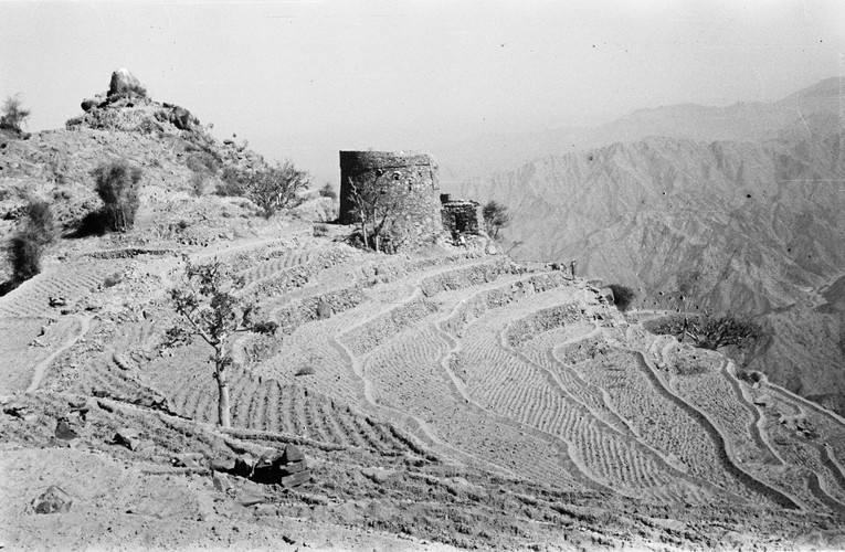 فيفاء قديمًا