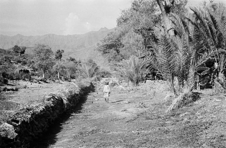 هروب قديمًا