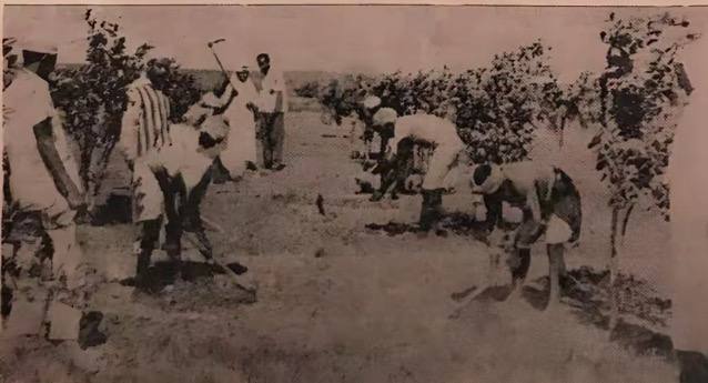 خليص قديمًا